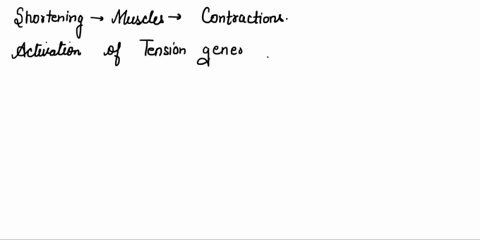 which-of-the-following-true-regarding-the-muscle-sarcomere-atp-iimitation-halts-the-cross-bridge-cycle-after-myosin-detaches-from-actin-reducing-the-capacity-of-muscles-generate-tension_-ca2-05187