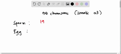 1-humans-are-known-to-have-46-chromosomes-in-each-somatic-cell-the-domesticated-cat-on-the-other-hand-has-38-chromosomes-in-somatic-cells-given-this-predict-the-number-of-chromosomes-found-i-74075