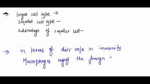 how-does-morphology-of-each-cell-type-fibroblasts-epithelial-cells-and-lymphocytes-relaye-to-its-function-2-which-cells-types-are-the-largest-the-smallest-what-would-be-the-advantage-of-a-sm-82843
