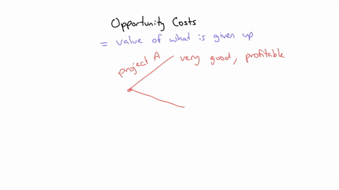 explain-why-the-consideration-of-opportunity-costs-may-be-very-relevant-to-a-firm-how-can-opportunity-costs-affect-a-business-decision-use-an-example-to-support-your-answer-44522