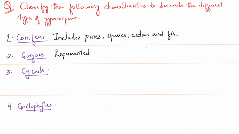 classify-the-following-characteristics-to-describe-the-different-types-of-gymnosperms_-distinct-male-and-female-plants-often-mistaken-for-palms-due-t0-the-appearance-of-their-leaves-conifers-46491