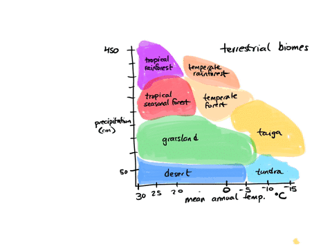 terrestrial-biomes-are-classified-by-the-climate-and-their-biodiversity-especially-the-types-of-primary-producers-review-the-climatic-data-displayed-in-this-graph-of-the-major-terrestrial-bi-20694