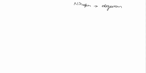 explain-how-nitrogen-that-accrues-in-the-degradation-of-amino-acids-in-muscle-tissue-is-transported-to-the-liver-72707