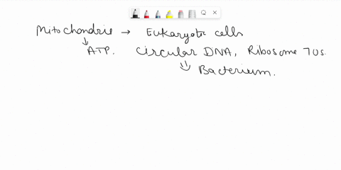 mitochondria-are-descendants-of-______-a-methanogenic-archaea-b-aerobic-bacteria-c-cyanobacteria-d-g-59306