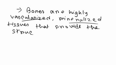 give-the-difference-between-bone-and-cartilage-75798