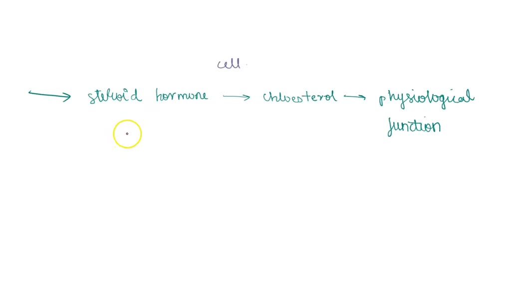 Explain how the model in the image supports this statement The body