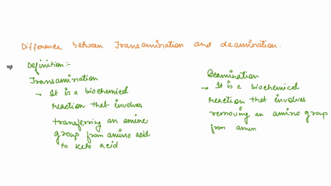 what-is-the-difference-between-transamination-and-deamination-54534