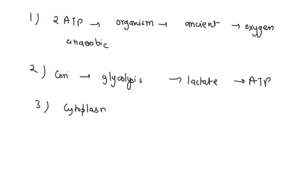 Solved Glycolysis Only Produces A Net 2 Atp Per Glucose Molecule