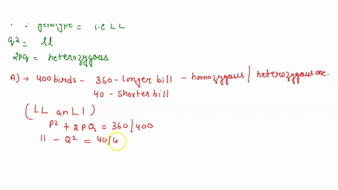 the-trait-longer-bill-l-shows-complete-dominance-over-the-trait-shorter-bill-l-in-a-population-of-400-birds-you-see-360-with-longer-bills-and-40-with-short-bills-calculate-the-allele-genotyp-02442