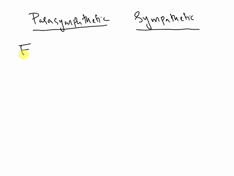 tonomic-nervous-system-homeworki-drag-each-of-the-following-labels-into-the-appropriate-box-to-identify-which-motor-division-of-the-peripheral-identufied-by-the-given-function-parasympatheti-54214