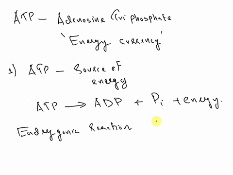 3-atp-is-a-critical-molecule-in-living-organisms-explain-the-following1-how-the-cell-uses-atp-2-why-certain-chemical-reactions-require-atp-use-correct-terms-related-to-metabolism-and-energy3-70198