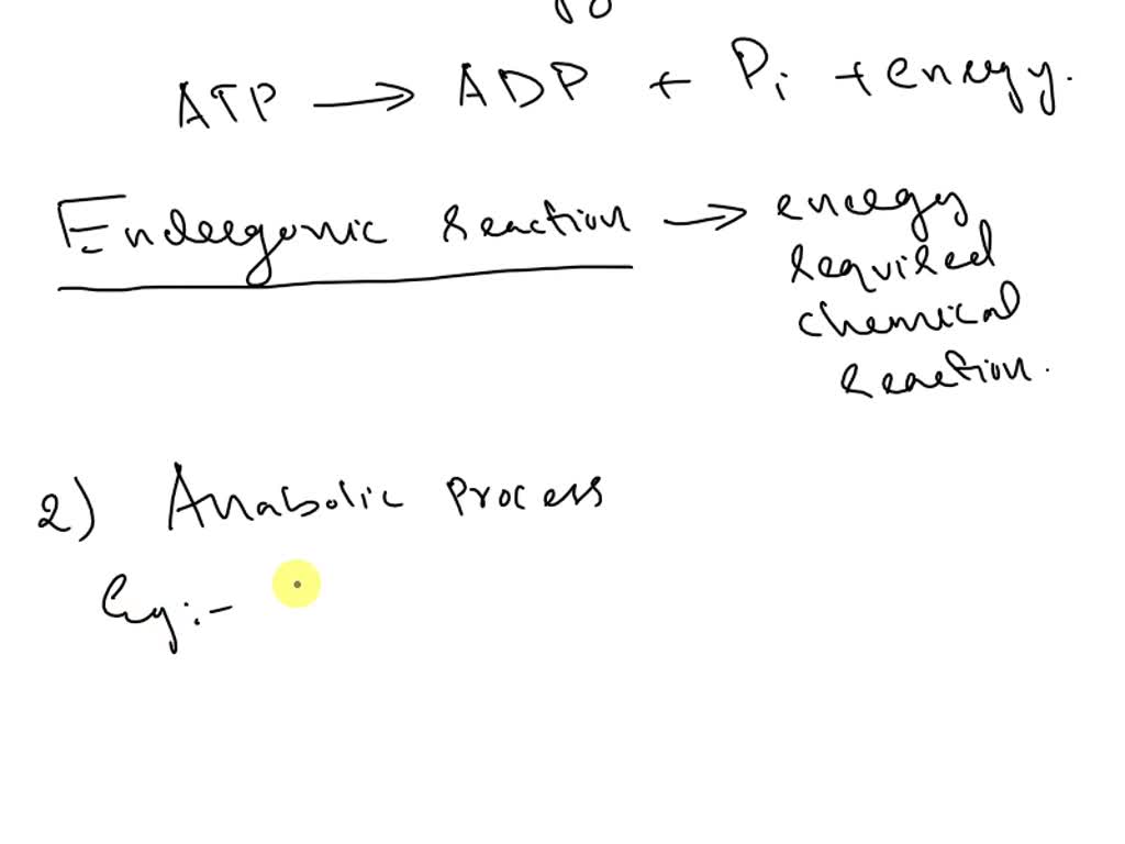 SOLVED: Q1 (i) What are the special properties of ATP that make it a ...