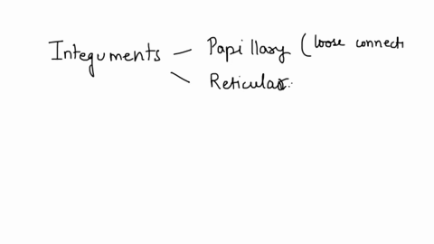 what-are-the-two-major-layers-of-the-integument-and-thecomponents-of-each-83452