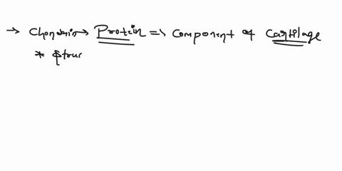 what-are-some-general-characteristics-of-chondrin-that-make-it-adaptive-to-the-function-of-cartilage-40638