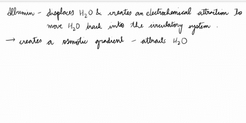 which-of-the-following-plasma-proteins-is-mainly-responsible-for-displacing-water-molecule-creating-an-electrochemical-attraction-that-moves-water-back-into-the-circulatory-system-oalbumin-o-01962