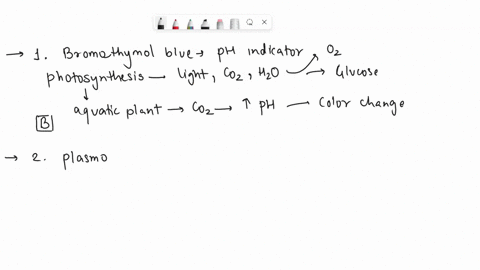 a-test-tube-contains-water-bromothymol-blue-indicator-and-a-water-plant-in-the-light-the-colour-is-blue-but-in-the-dark-the-colour-is-yellow-the-best-explanation-for-these-observations-is-th-89126