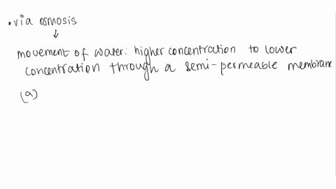 water-moves-via-osmosis-_________-a-throughout-the-cytoplasm-b-from-an-area-with-a-high-concentratio-57911