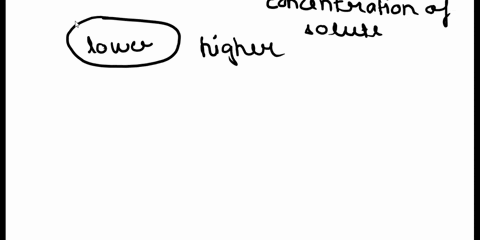 a-plant-cell-that-is-placed-in-a-hypertonic-solution-would-experience-a-crenation-b-an-increase-in-2-30995
