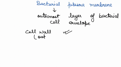 which-statement-is-correct-regarding-bacterial-plasma-membrane-it-is-the-outermost-layer-of-a-bacterial-cell-envelope-it-contains-many-invaginations-that-increase-its-surface-area_-sterols-m-12687