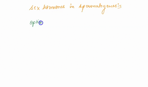 which-statement-most-accurately-describes-the-role-of-sex-hormones-in-spermatogenesis-aspermatogenesis-is-regulated-by-luteinizing-hormone-secreted-by-the-testis-bspermatogenesis-is-regulate-93534