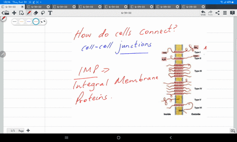 which-of-the-following-help-a-cell-join-with-another-cell-a-organelles-b-integral-membrane-proteins-c-cytosol-d-carbohydrates-37198