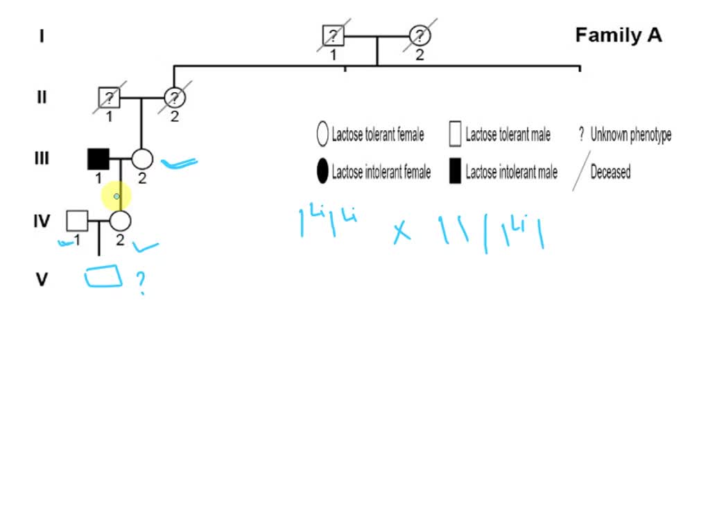 SOLVED Examine Generation III, Individuals 1, 2, and their offspring. What type of inheritance