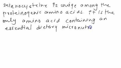 what-is-unique-about-selenocysteine-99518