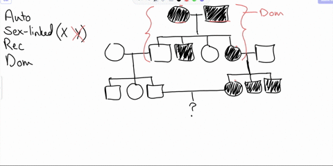 below-is-human-pedigree-showing-the-inheritance-of-genetic-_-disease_-give-the-mode-of-inheritance-of-the-trait-use-appropriate-genetic-symbols-and-give-the-genotype-of-1-1-c-use-appropriate-20148
