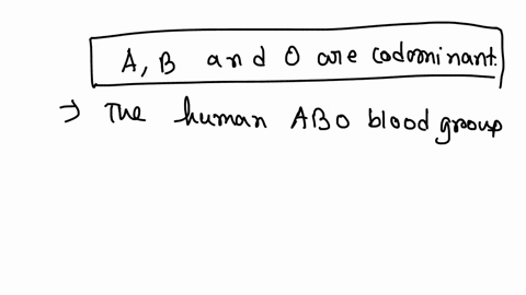 in-the-abo-blood-type-systen-a-b-and-0-are-codominant-a-band-0-are-3-incompletcly-dominant-and-b-are-codominant-and-0-i5-ncessive-0-is-incompletely-dominant-to-both-and-b-a-is-dominant-to-b-00403