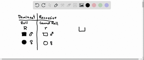 hi-i-had-made-a-mistake-while-entering-in-info-in-the-chart-could-you-please-create-a-pedigree-chart-again-and-specify-the-genotypes-as-well-sorry-about-that