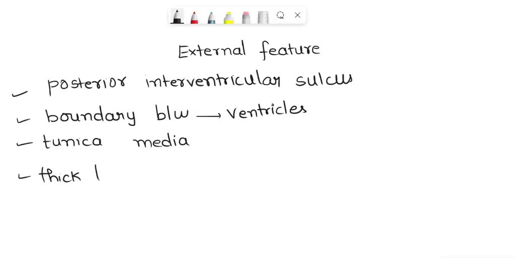 SOLVED The is an external feature that runs down the middle of the