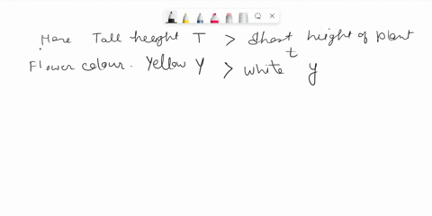 in-a-particular-plant-two-genes-control-height-and-flower-color-tall-height-t-is-dominant-to-short-height-t-yellow-flowers-y-are-dominant-to-white-flowers-y-a-tall-yellow-flowered-plant-is-m-39324
