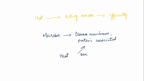 1-under-substrate-limited-conditions-a-microorganism-exhibits-monod-growth-with-maximum-specific-growth-rate-of-05-h-1-a-saturation-constant-ks-of-015-g-l-1-and-cell-yield-on-substrate-of-04-15037