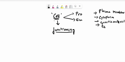 what-are-the-cellular-processes-required-to-classify-a-cell-as-a-cell-54222