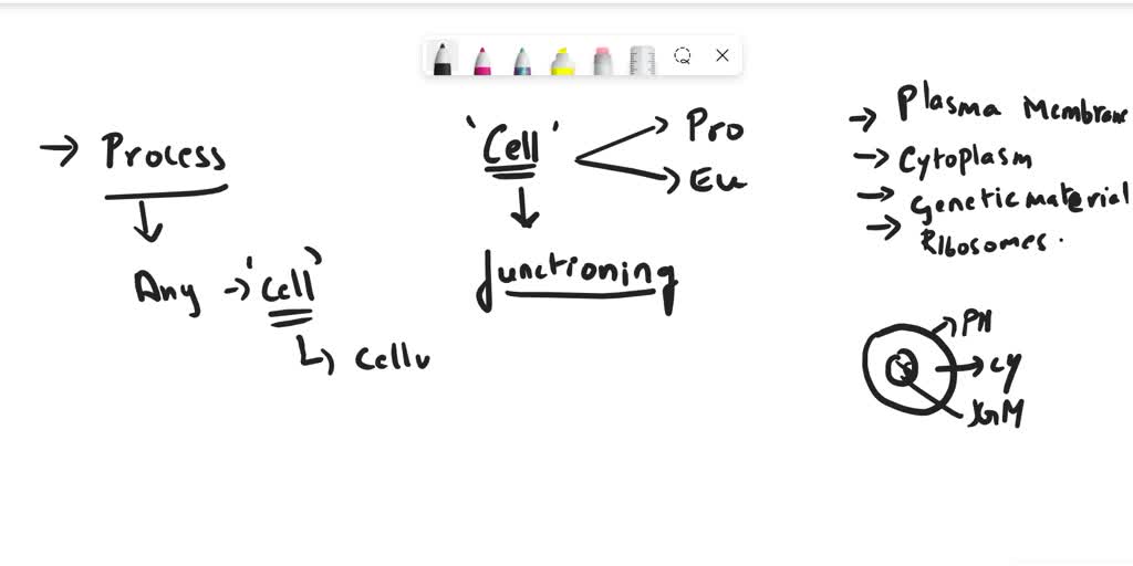 solved-what-does-a-cell-become-when-it-is-neither-specified-nor