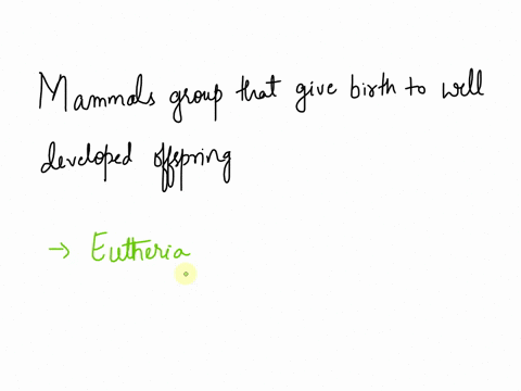 question-710-points-which-group-of-mammals-gives-birth-to-well-developed-young-eutheria-allotheria-monotremes-marsupial-89634