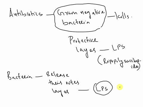 question43-antibiotics-can-kill-gram-negative-bacteriabut-symptoms-of-fever-and-low-blood-pressure-can-persistwhy-htmledit-39134