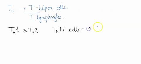 which-of-the-following-subsets-of-helper-t-cells-is-most-responsible-for-chronic-inflammation-thi-th2-th17-allofthe-cell-types-are-equally-responsible-for-chronic-inflammation-22614