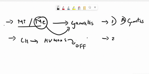 1-meiosis-produces-a-gametes-b-diploid-cells-c-asexual-cells-d-exact-copy-of-cells-2-how-many-chromosomes-do-human-gametes-have-in-them-a-46-b-16-c-23-d-92-3-when-an-oocyte-nucleus-and-a-spe-66038