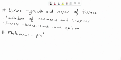three-nutritionally-essential-amino-acids-which-tend-to-be-deficient-in-plant-proteins-are-38122