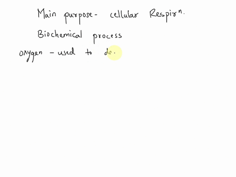 question-9-05-points-what-is-the-primary-purpose-of-cellular-respiration-to-break-down-glucose-into-water-and-coz-to-gather-energy-to-build-food-molecules-to-release-energy-to-produce-heat-t-67826