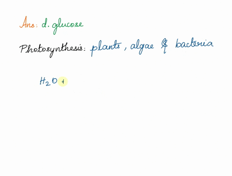 which-of-the-following-is-a-product-of-photosynthesis-protein-fats-nucleic-acids-glucose-91828
