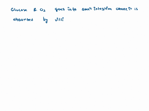 complete-the-following-glucose-from-digested-food-oxygen-from-lung-goes-into-____________-as-it-is-___________-absorbed-by-villi-that-passing-it-to-the-____________-63719