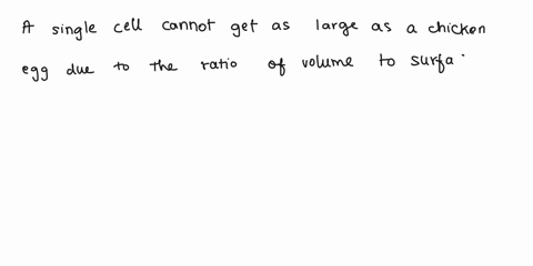 which-of-the-following-statements-explain-why-single-cell-can-not-get-as-large-as-chicken-egg-select-all-that-apply-the-volume-would-be-significantly-more-than-the-surface-area-the-surface-a-86847