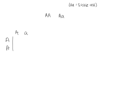 what-is-the-probability-that-the-couple-would-have-a-child-that-was-also-a-carrier-for-sickle-cell-anemia-0-25-50-75-100-57396