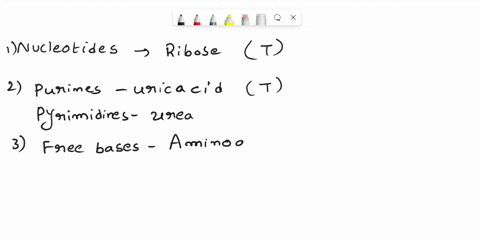 under-starvation-conditions-cells-deaminate-amino-acids-to-produce-carbon-skeletons-that-enter-the-pathway-and-the-citric-acid-cycle-to-generate-atp-nucleotides_-gfokeltio-on-the-other-hand-99494