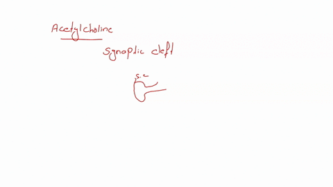 40-acetylcholine-ach-is-neurotransmitter-when-it-diffuses-across-the-synaptic-cleft-it-binds-with-ligand-gated-na-channels-which-causes-depolarization-would-the-following-lead-to-more-q-less-26775