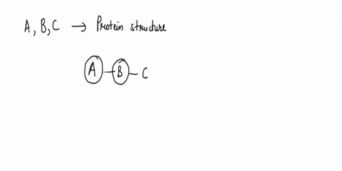 proteins-are-biological-macromolecules-which-are-obtained-from-bullding-blocks-called-amino-acids-though-proteins-arc-not-concerned-with-producing-energy-but-arc-principally-associated-with-22485