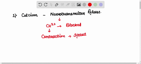 1-in-the-cardiac-muscle-action-potential-what-would-happen-if-the-calcium-channels-did-not-open-2-in-the-cardiac-conducting-system-what-would-happen-to-the-heart-rate-if-the-av-node-was-the-09226