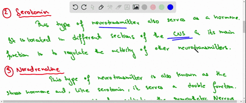 describe-different-types-of-neurotransmitters-and-there-types-of-mechanisms-that-neurotransmitters-work-37148